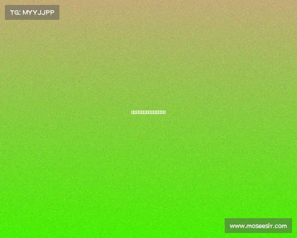 沃库森表现出色，德甲赛季不败